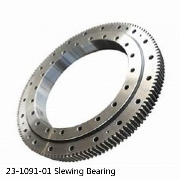 23-1091-01 Slewing Bearing #1 image