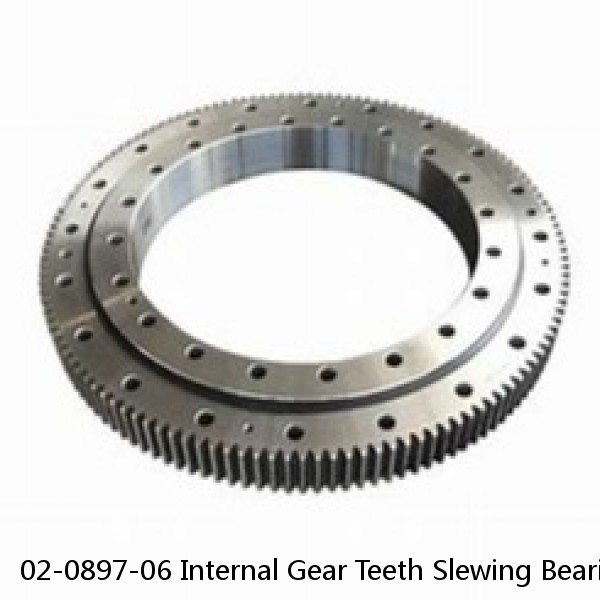 02-0897-06 Internal Gear Teeth Slewing Bearing #1 image
