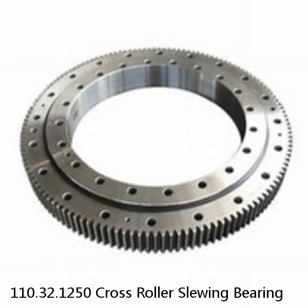 110.32.1250 Cross Roller Slewing Bearing #1 image